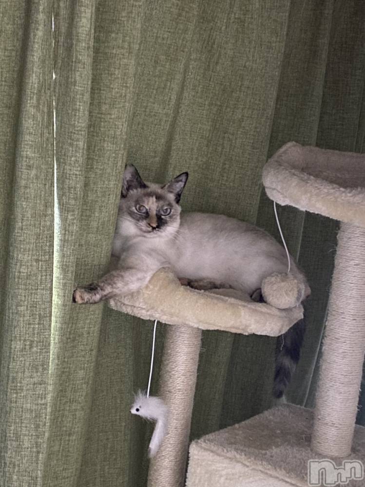 ��ë����Х��顦�����CLUB��Paladin(����֡��ѥ�ǥ���) �������ۤ�7��31���̥�֥����֤�˺��ʤ��褦��🙏��