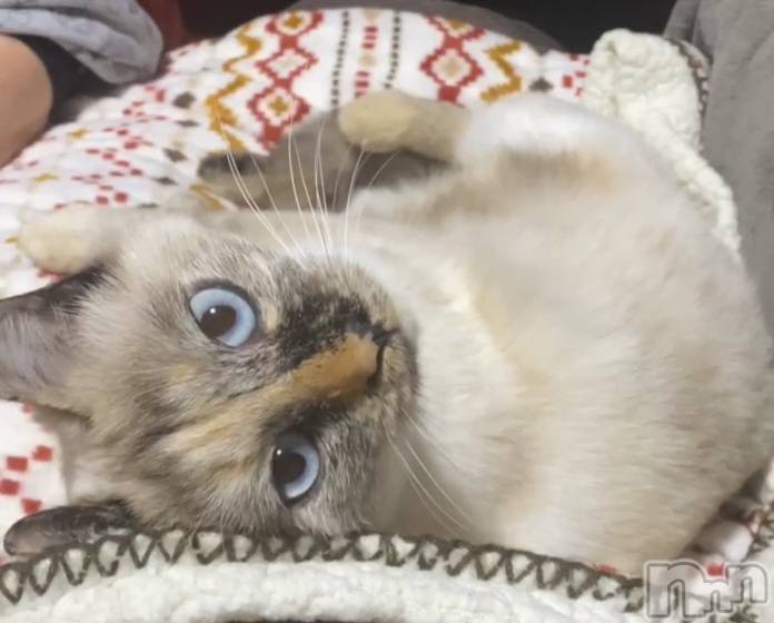 ��ë����Х��顦�����CLUB��Paladin(����֡��ѥ�ǥ���) �������ۤ�11��9���̥�֥�����😭😭😭😭😭��