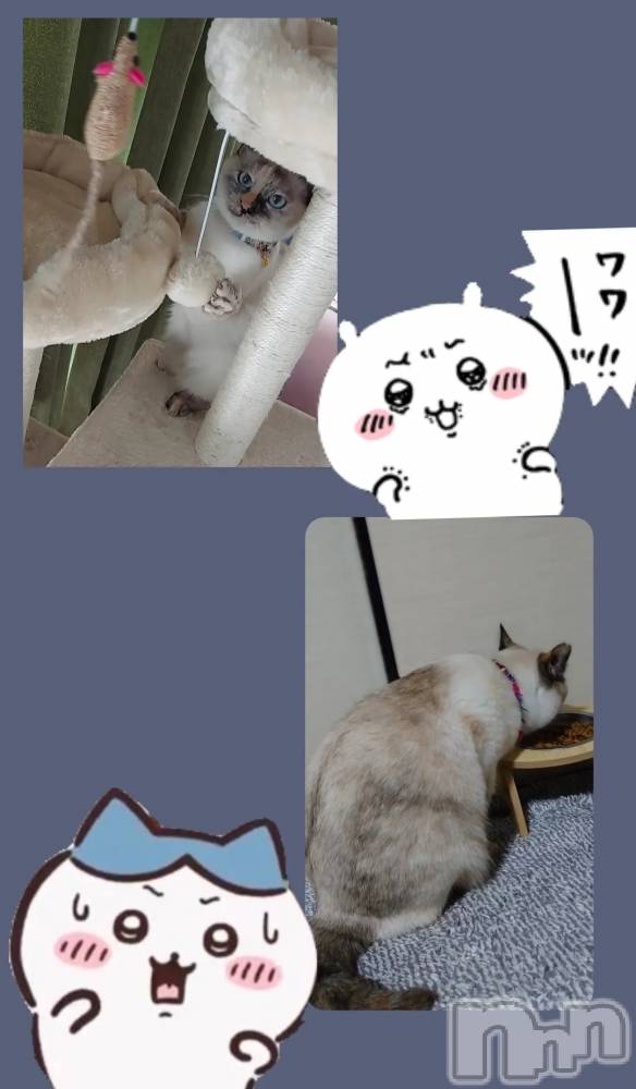 ��ë����Х��顦�����CLUB��Paladin(����֡��ѥ�ǥ���) �������ۤ�4��13���̥�֥����֤��Ĥ�ġ�