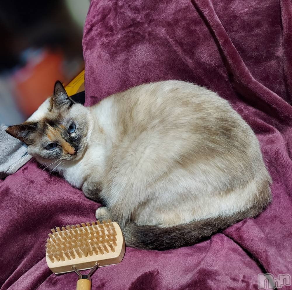 ��ë����Х��顦�����CLUB��Paladin(����֡��ѥ�ǥ���) �������ۤ�5��9���̥�֥����֤�������͡�����ฅ🐾໊��