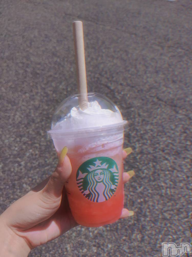 ��ë����Х��顦�����CLUB��Paladin(����֡��ѥ�ǥ���) �������ۤ�8��14���̥�֥�����life��