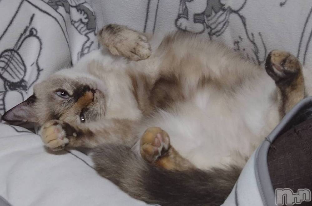 ��ë����Х��顦�����CLUB��Paladin(����֡��ѥ�ǥ���) �������ۤ�9��29���̥�֥����ֲ���פ��⤫�٤ޤ�������