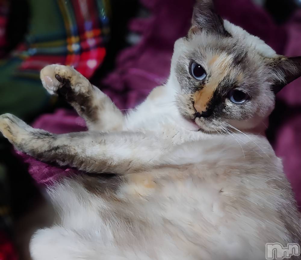 ��ë����Х��顦�����CLUB��Paladin(����֡��ѥ�ǥ���) �������ۤ�10��30���̥�֥����ֺ��ä��㤦(����-����)��