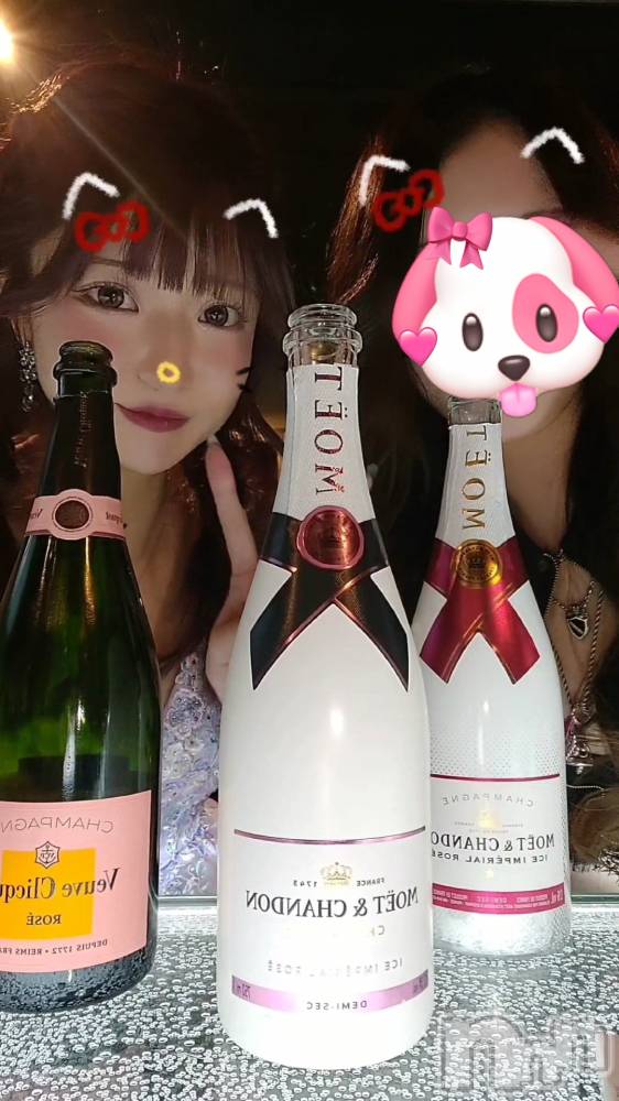 ��ë����Х��顦�����CLUB��Paladin(����֡��ѥ�ǥ���) �������ۤ�1��12���̥�֥�����🍀 ́-‬��