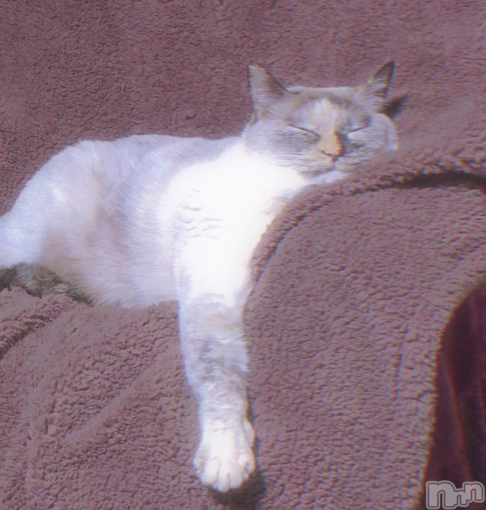 ��ë����Х��顦�����CLUB��Paladin(����֡��ѥ�ǥ���) �������ۤ�1��29���̥�֥�����🫠💗��