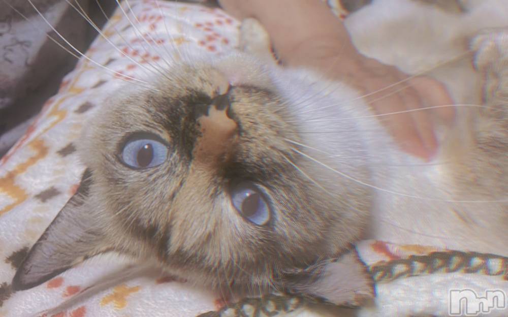 ��ë����Х��顦�����CLUB��Paladin(����֡��ѥ�ǥ���) �������ۤ�2��27���̥�֥����ַ����💭��