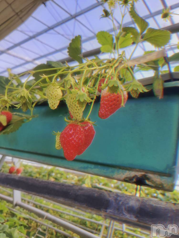 ��ë����Х��顦�����CLUB��Paladin(����֡��ѥ�ǥ���) �������ۤ�4��5���̥�֥����������🙆‍��️��