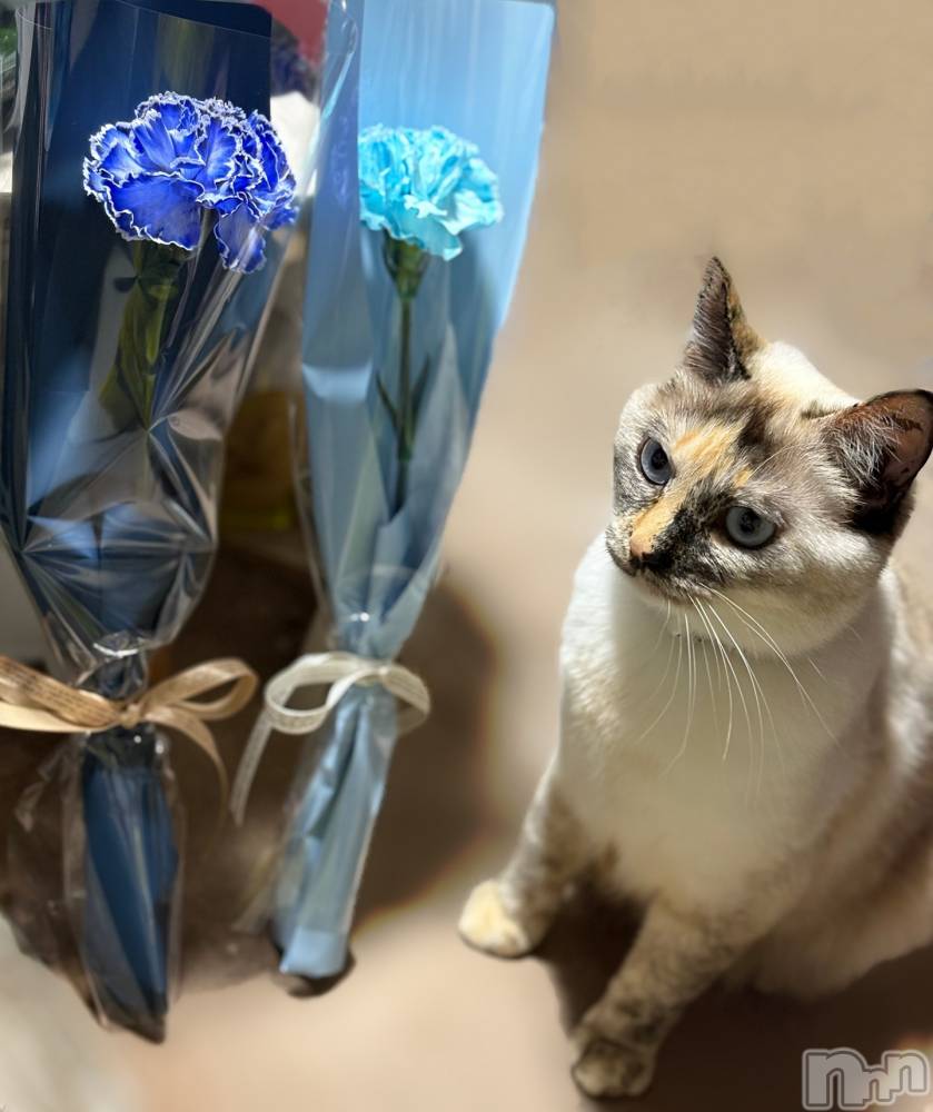 ��ë����Х��顦�����CLUB��Paladin(����֡��ѥ�ǥ���) �������ۤ�5��11���̥�֥�����Mother's Day🌷💗��