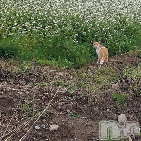 ��ë����Х��顦�����CLUB��Paladin(����֡��ѥ�ǥ���) �������ۤ�6��15���̥�֥����֤����ǡ�🫶��