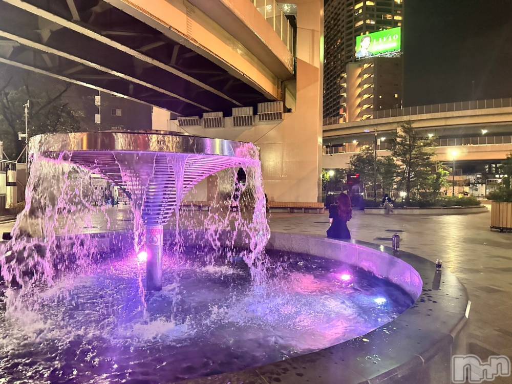 ��ë����Х��顦�����CLUB��Paladin(����֡��ѥ�ǥ���) �������ۤ�12��2���̥�֥�����1ǯ�֤Ρ�