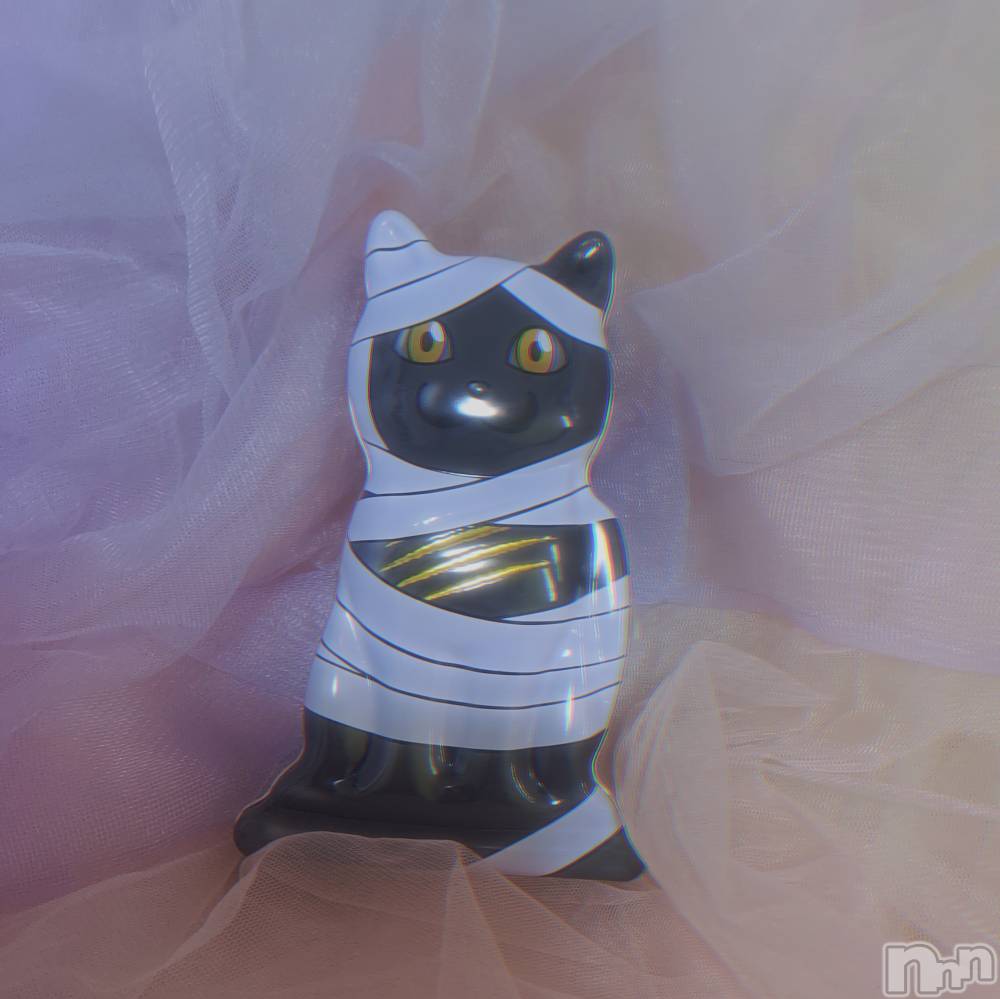 ��ë����Х��顦�����CLUB��Paladin(����֡��ѥ�ǥ���) �������ۤ�12��6���̥�֥����֤��Ĥ�🙇‍��️��