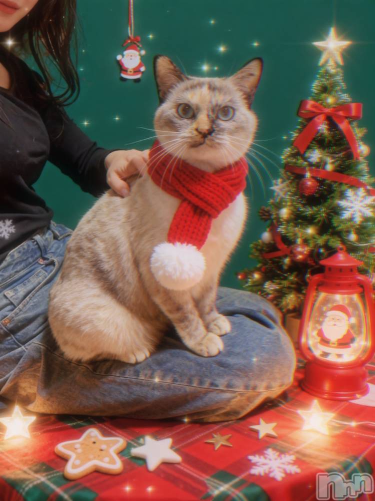 ��ë����Х��顦�����CLUB��Paladin(����֡��ѥ�ǥ���) �������ۤ�12��26���̥�֥�����‪🫶️💗��