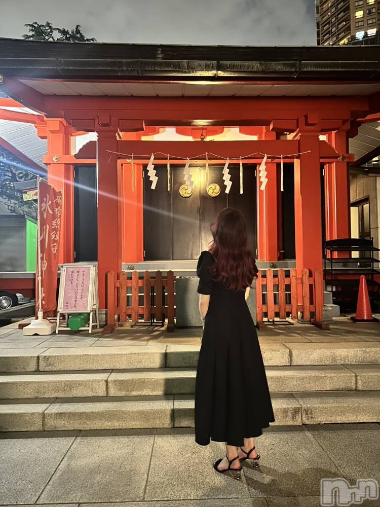 ��ë����Х��顦�����CLUB��Paladin(����֡��ѥ�ǥ���) �������ۤ�2��12���̥�֥����ֻ��֤��ġ�