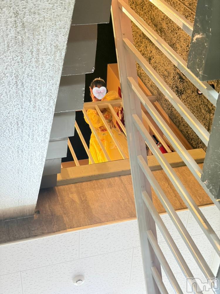 ��ë����Х��顦�����CLUB��Paladin(����֡��ѥ�ǥ���) �������ۤ�3��25���̥�֥����ֿ����ʲ��(��ฅ��•ฅ��)��