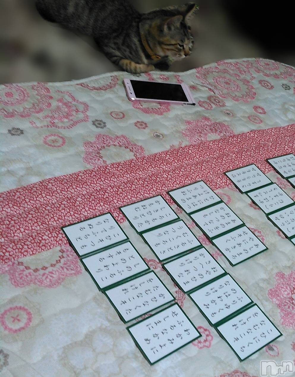 ��ë����Х��顦�����CLUB��Paladin(����֡��ѥ�ǥ���) ��2020ǯ7��26���̥�֥����ּ㤫�ꤷ����