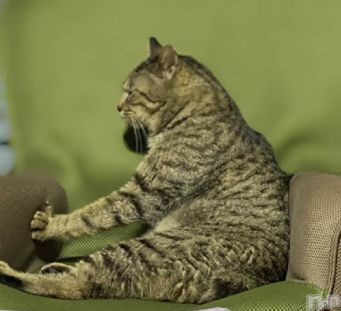 ��ë����Х��顦�����CLUB��Paladin(����֡��ѥ�ǥ���) ��2020ǯ8��2���̥�֥����֡�����