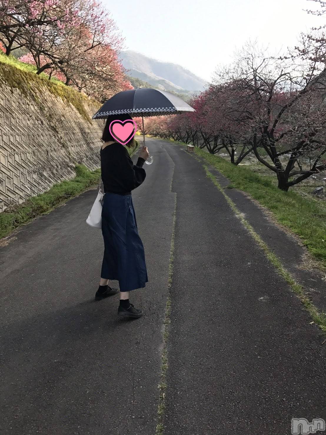 ��ë����Х��顦�����CLUB��Paladin(����֡��ѥ�ǥ���) ��2020ǯ9��20���̥�֥�������ɸ��