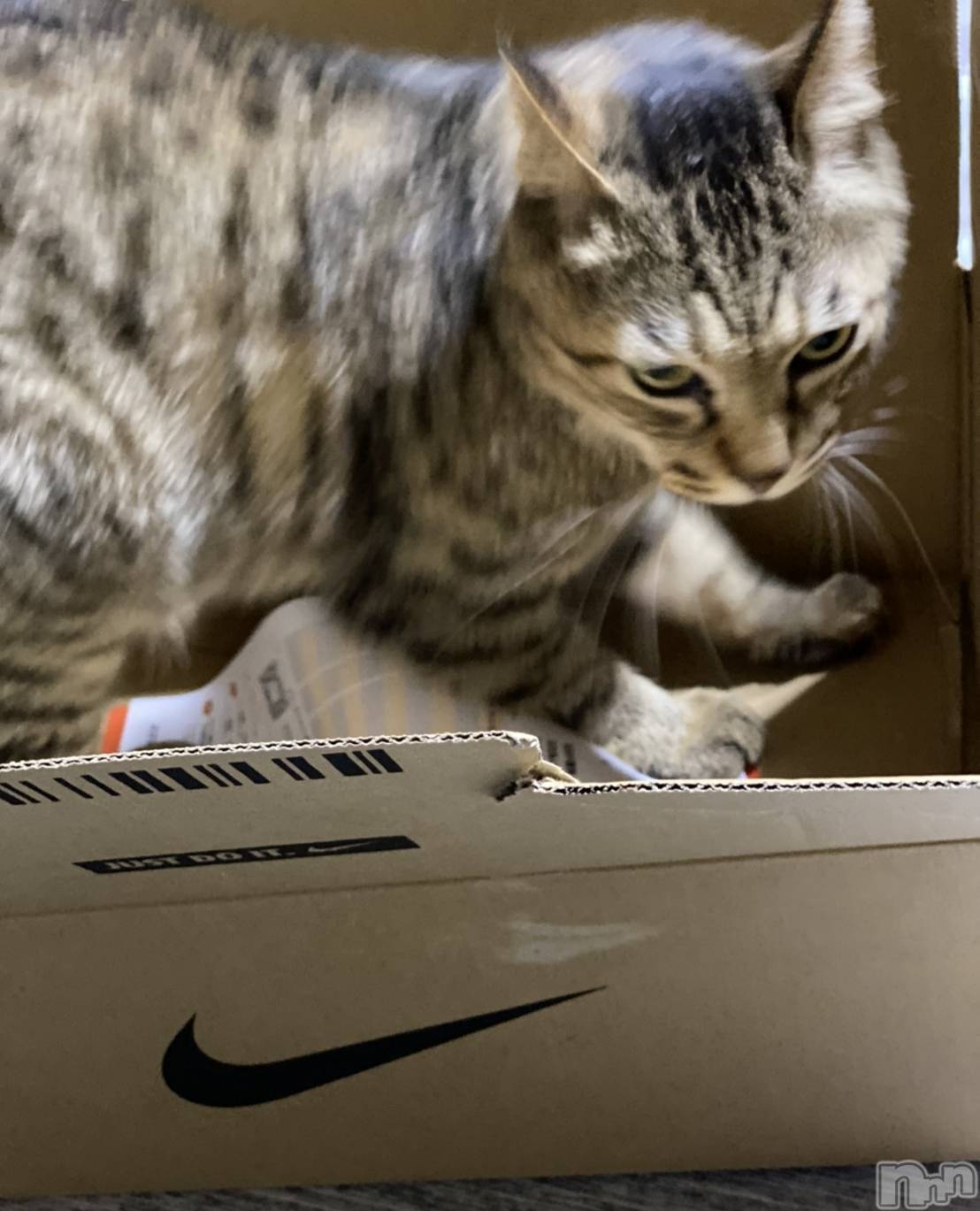 ��ë����Х��顦�����CLUB��Paladin(����֡��ѥ�ǥ���) ��2020ǯ10��15���̥�֥������ܤä�����