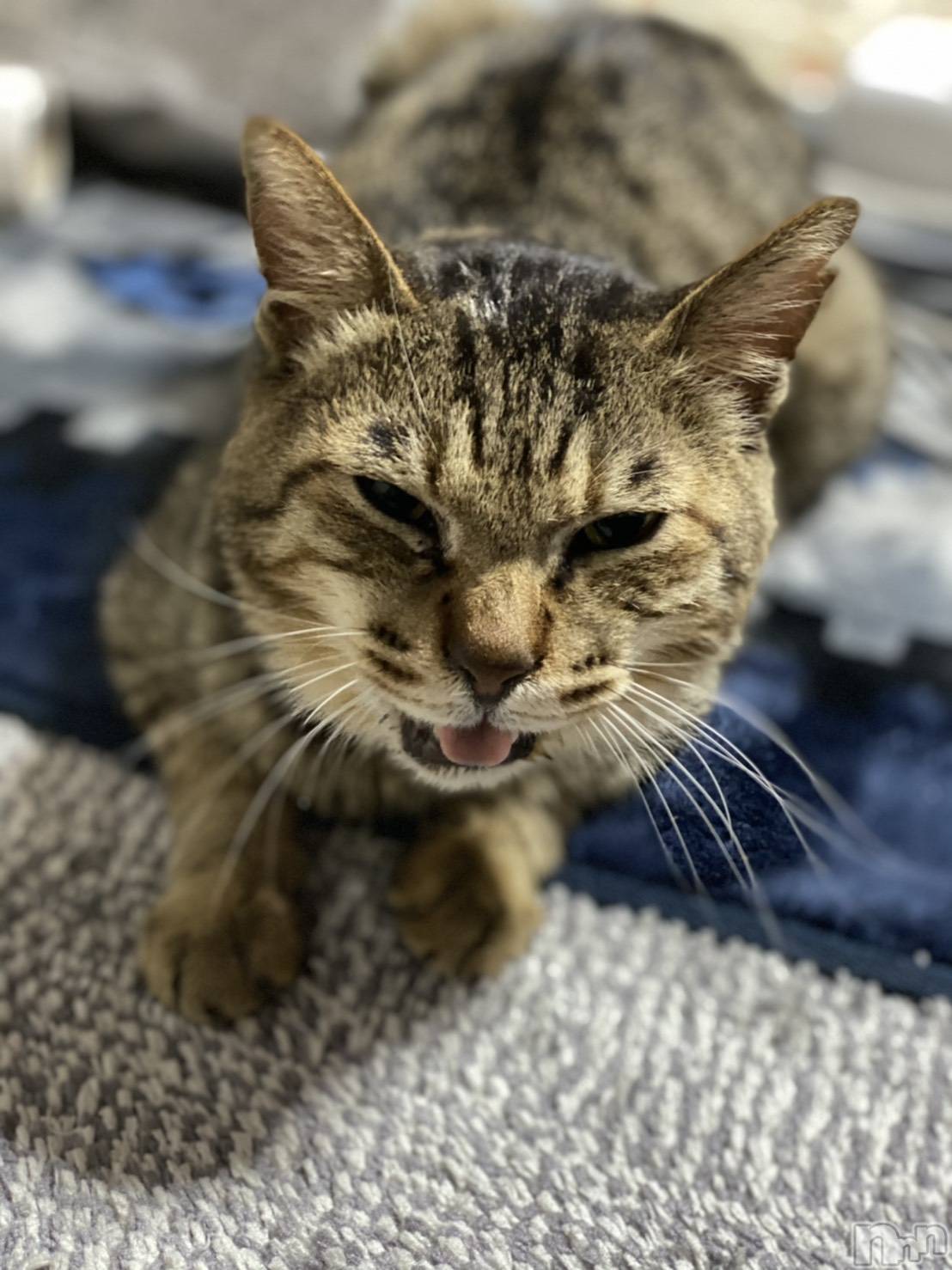 ��ë����Х��顦�����CLUB��Paladin(����֡��ѥ�ǥ���) ��2021ǯ1��4���̥�֥����ְ��Τɤ��ˡ�������