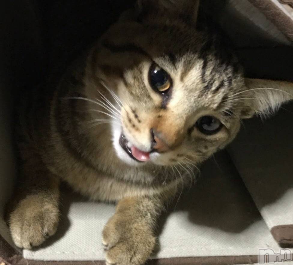 ��ë����Х��顦�����CLUB��Paladin(����֡��ѥ�ǥ���) ��2021ǯ2��22���̥�֥����ֺ����ϡ�������