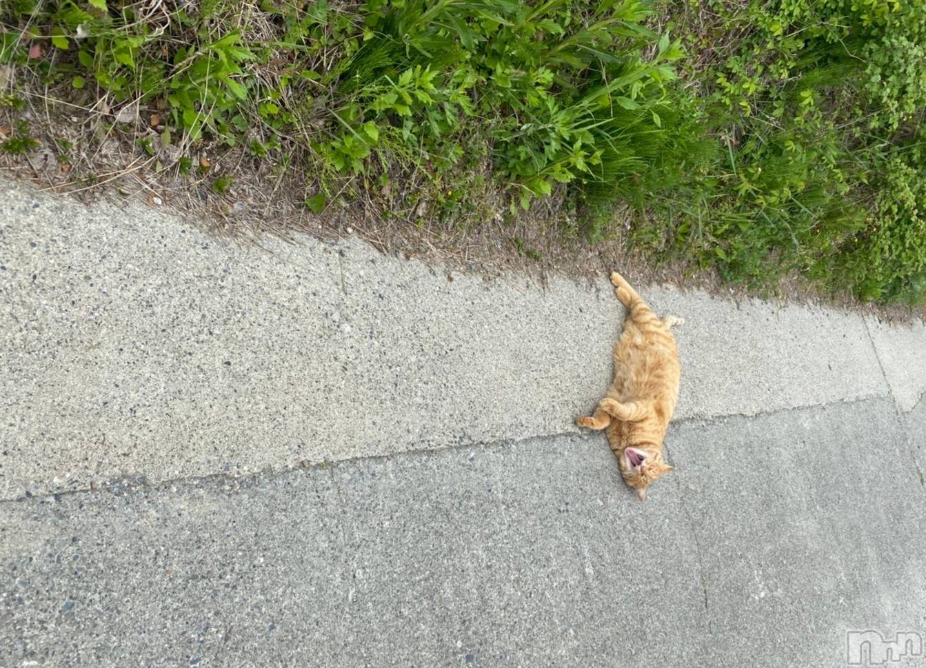 ��ë����Х��顦�����CLUB��Paladin(����֡��ѥ�ǥ���) ��2021ǯ5��9���̥�֥����ִ��פΰ����