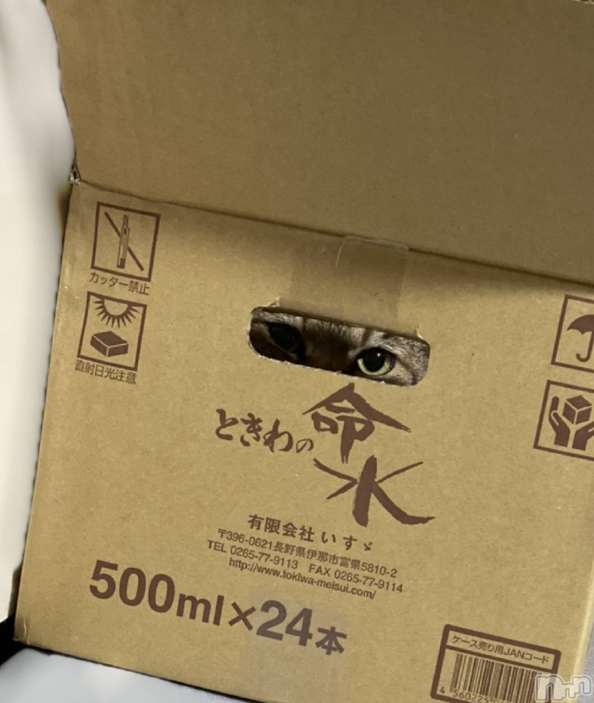 ��ë����Х��顦�����CLUB��Paladin(����֡��ѥ�ǥ���) ��2021ǯ8��7���̥�֥�����👀✨��