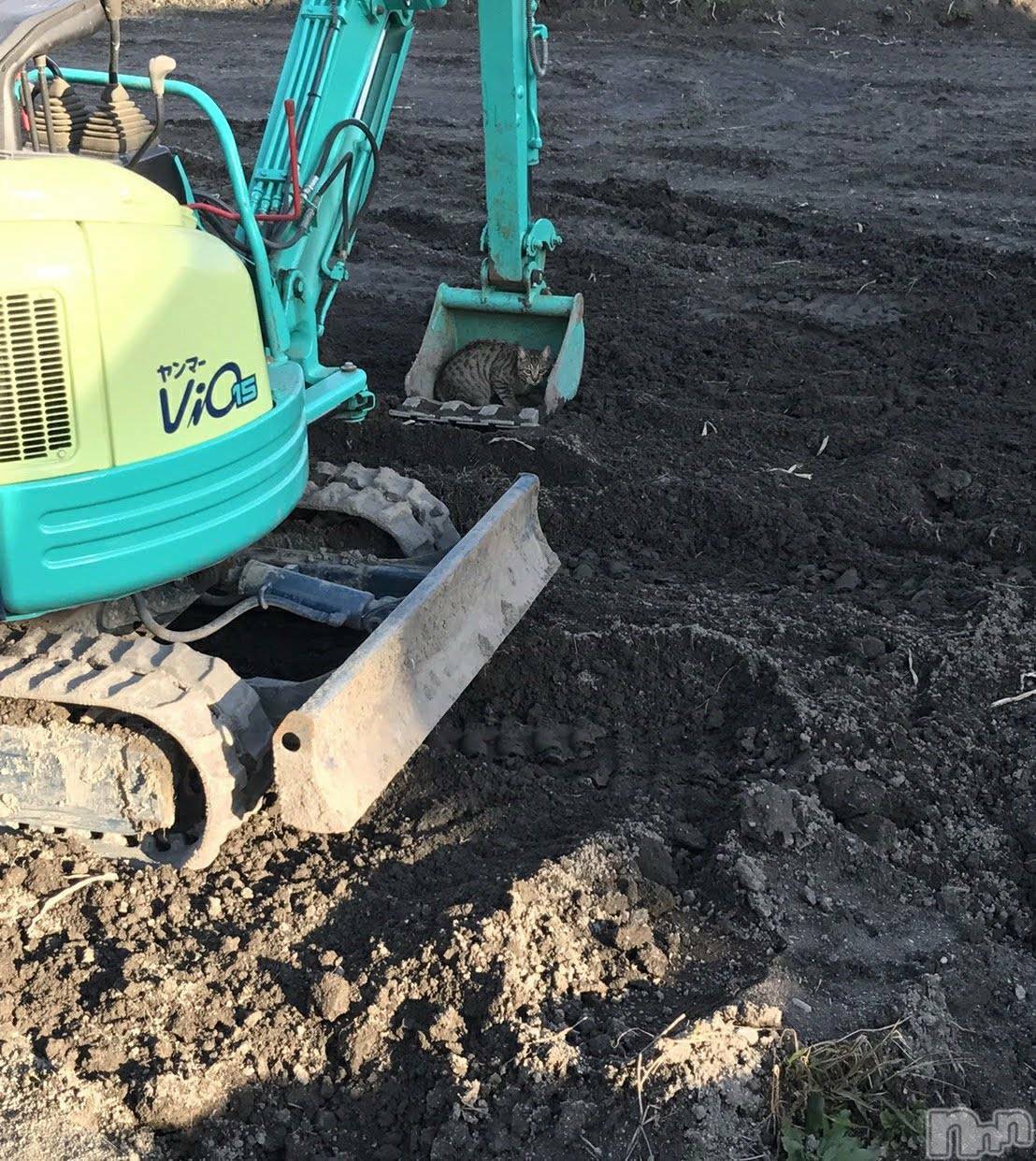 ��ë����Х��顦�����CLUB��Paladin(����֡��ѥ�ǥ���) ��2022ǯ8��9���̥�֥����־׷�λ��¡�