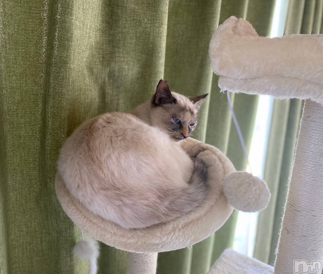 ��ë����Х��顦�����CLUB��Paladin(����֡��ѥ�ǥ���) ��2023ǯ5��22���̥�֥�����𝐬𝐭𝐚𝐫𝐭▹▸��