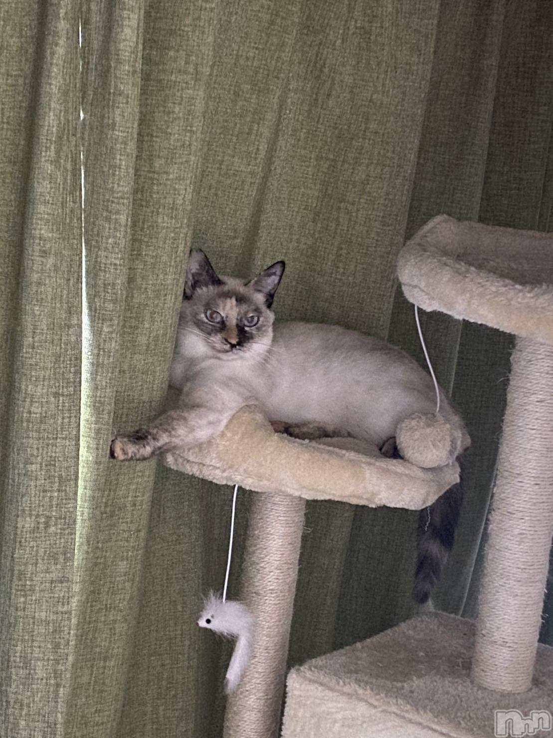 ��ë����Х��顦�����CLUB��Paladin(����֡��ѥ�ǥ���) ��2023ǯ7��31���̥�֥����֤�˺��ʤ��褦��🙏��