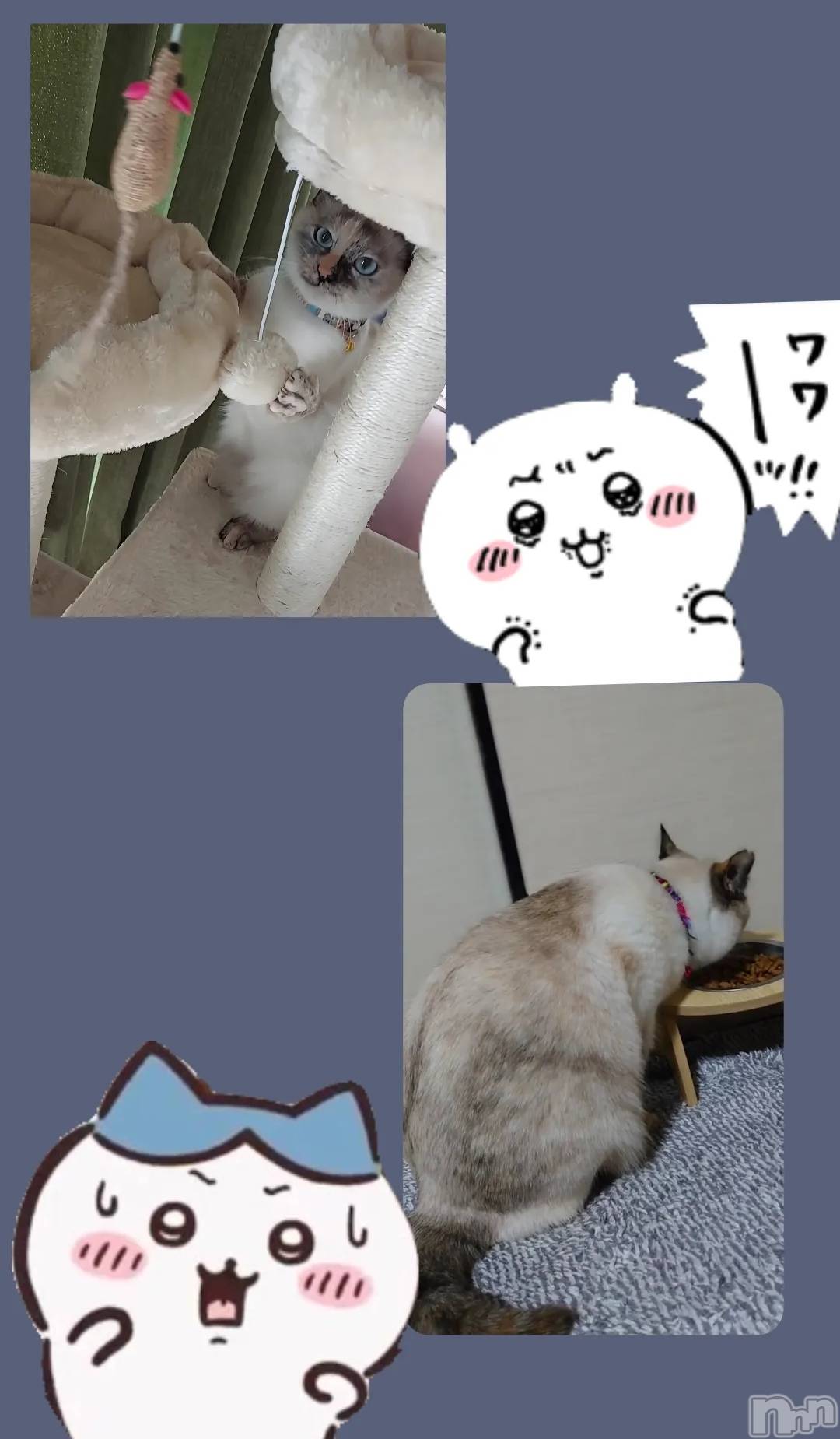 ��ë����Х��顦�����CLUB��Paladin(����֡��ѥ�ǥ���) ��2024ǯ4��13���̥�֥����֤��Ĥ�ġ�