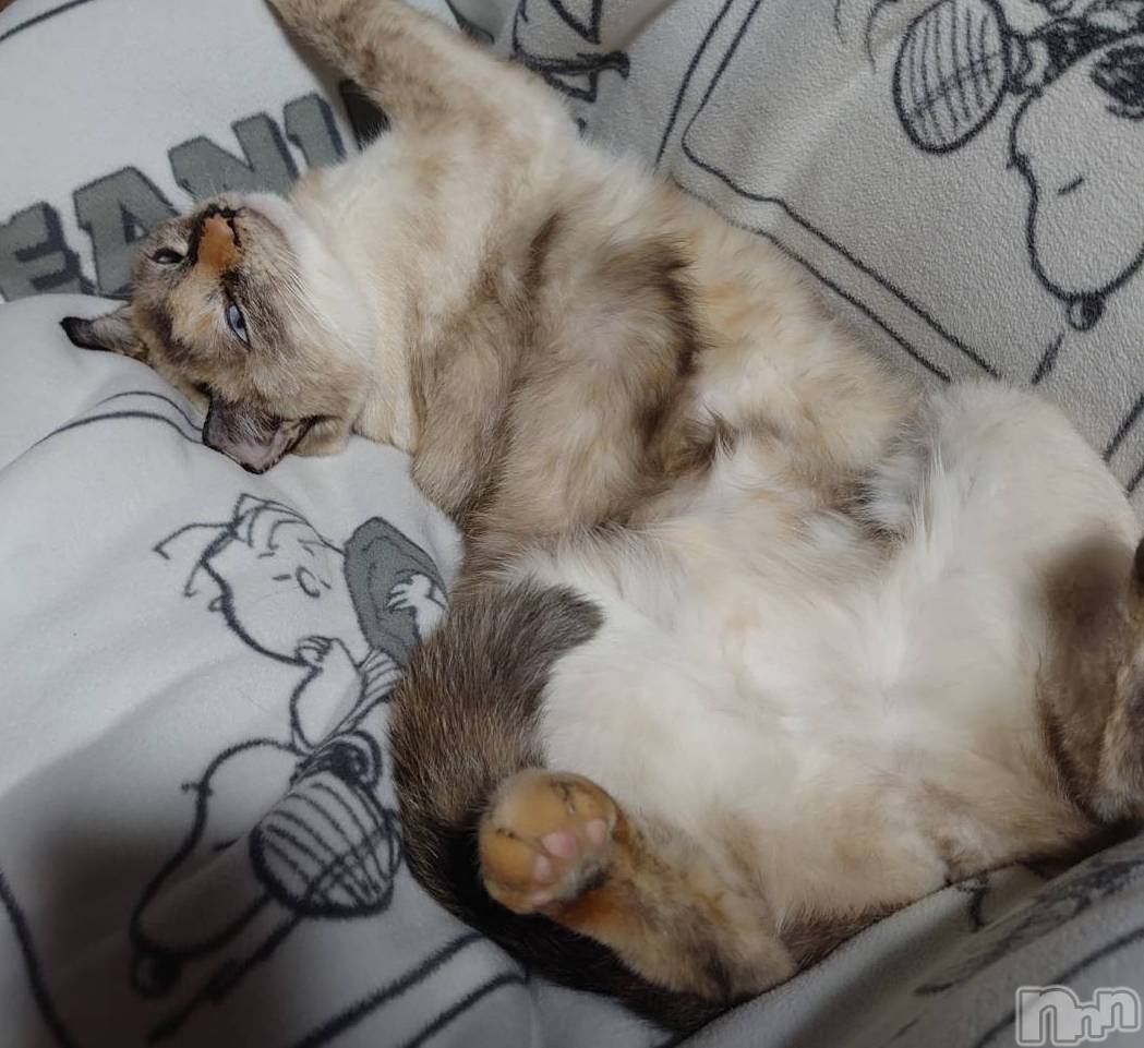 ��ë����Х��顦�����CLUB��Paladin(����֡��ѥ�ǥ���) ��2024ǯ9��18���̥�֥����֥��㡼��ݥ����🦋��