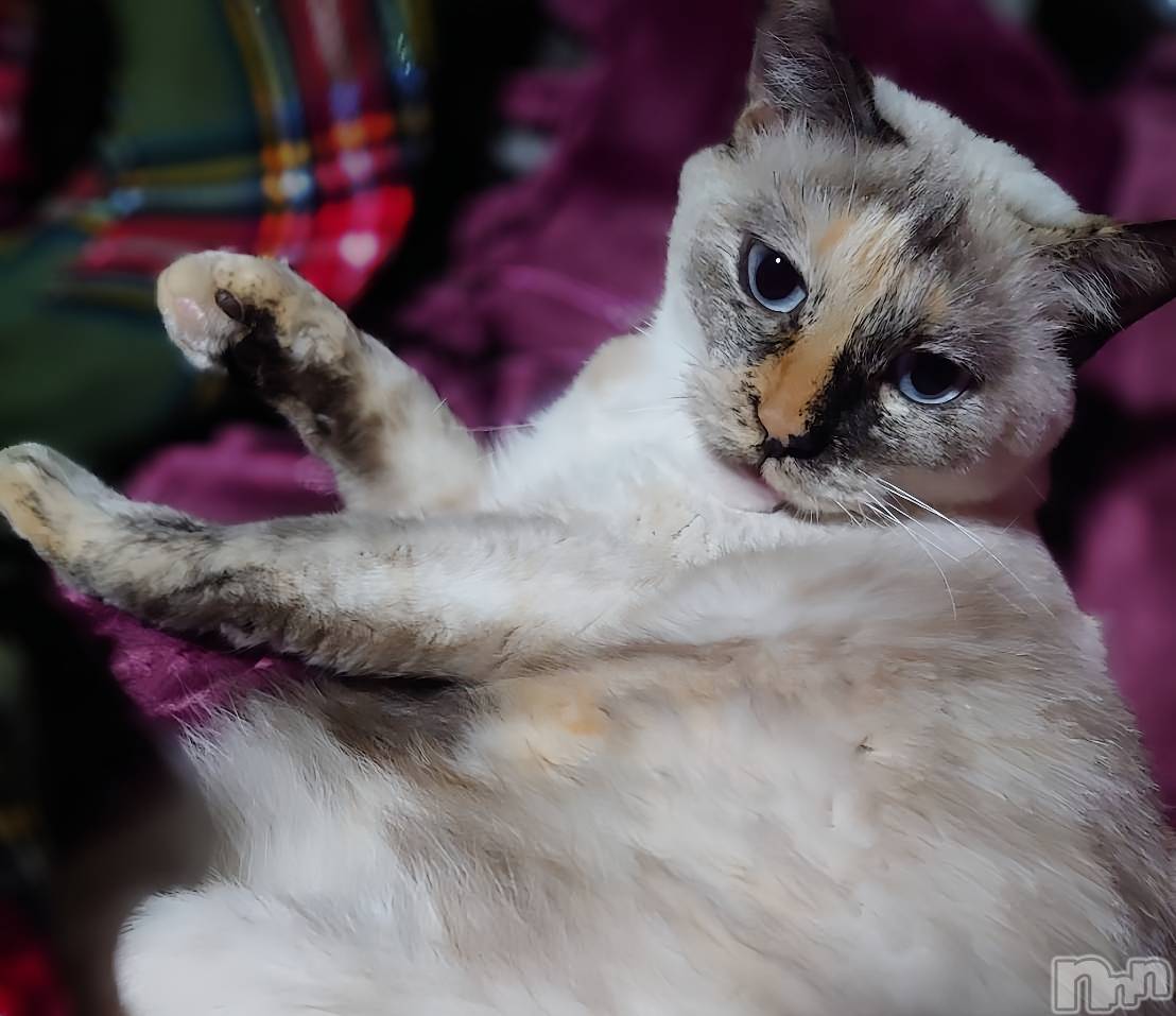 ��ë����Х��顦�����CLUB��Paladin(����֡��ѥ�ǥ���) ��2024ǯ10��30���̥�֥����ֺ��ä��㤦(����-����)��