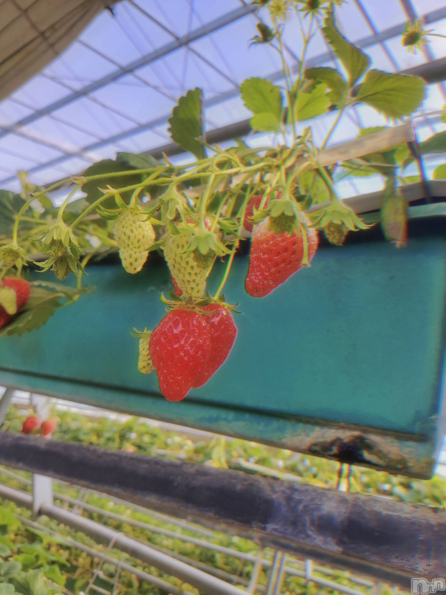 ��ë����Х��顦�����CLUB��Paladin(����֡��ѥ�ǥ���) ��2025ǯ4��5���̥�֥����������🙆‍��️��