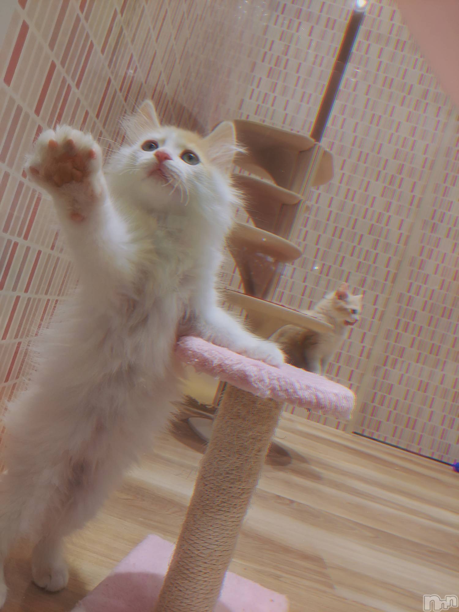 ��ë����Х��顦�����CLUB��Paladin(����֡��ѥ�ǥ���) ��2025ǯ5��17���̥�֥�����🙋‍��️��