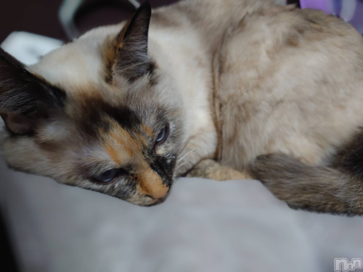 ��ë����Х��顦�����CLUB��Paladin(����֡��ѥ�ǥ���) ��2025ǯ6��8���̥�֥�����𝑮𝒐𝒐𝒅 𝒎𝒐𝒓𝒏𝒊𝒏𝒈 🌞��