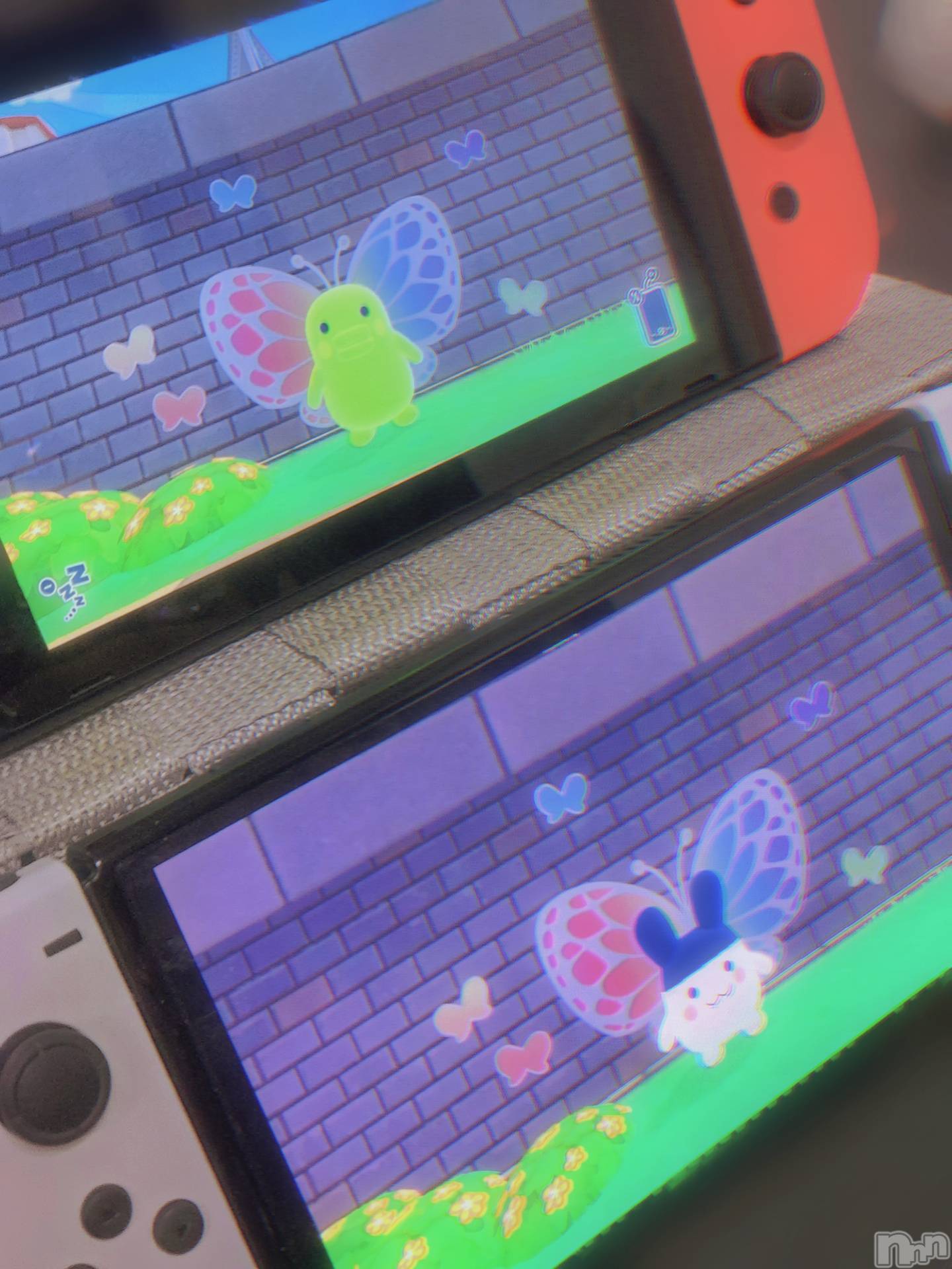 ��ë����Х��顦�����CLUB��Paladin(����֡��ѥ�ǥ���) ��2025ǯ6��27���̥�֥�������˾��🫶💭��