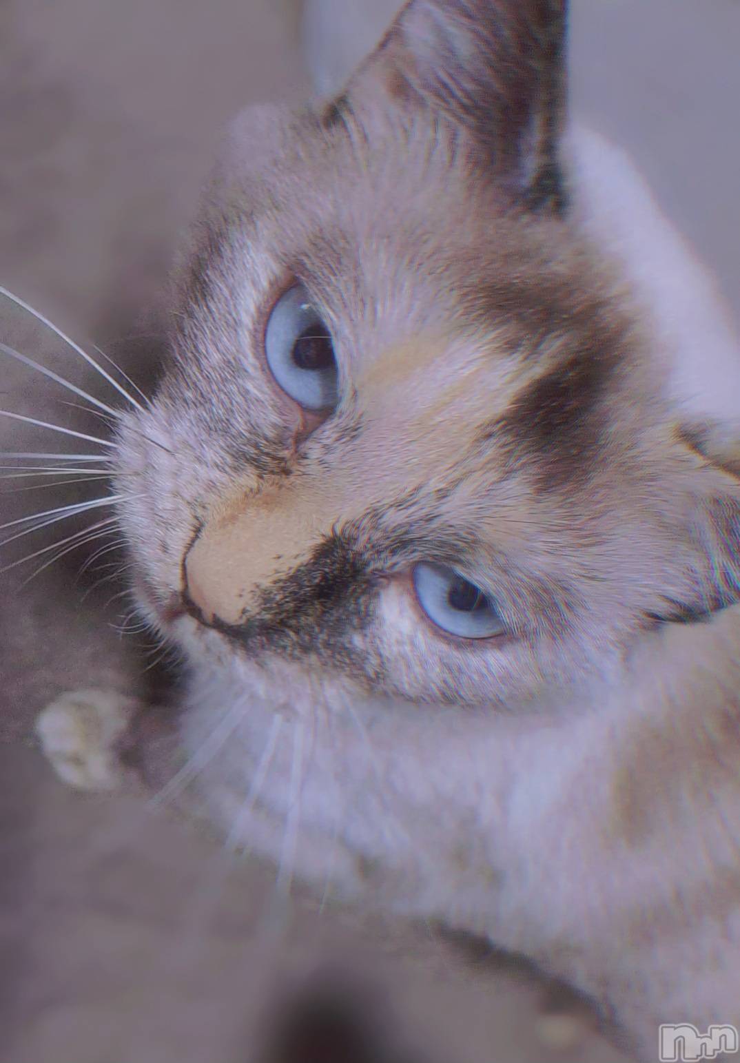 ��ë����Х��顦�����CLUB��Paladin(����֡��ѥ�ǥ���) ��2025ǯ7��9���̥�֥�����🥹‎🩷️��