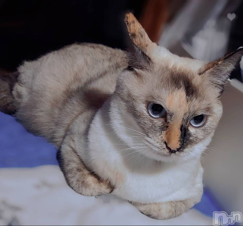 ��ë����Х��顦�����CLUB��Paladin(����֡��ѥ�ǥ���) ��2025ǯ8��19���̥�֥�������ǤƤ��😾��