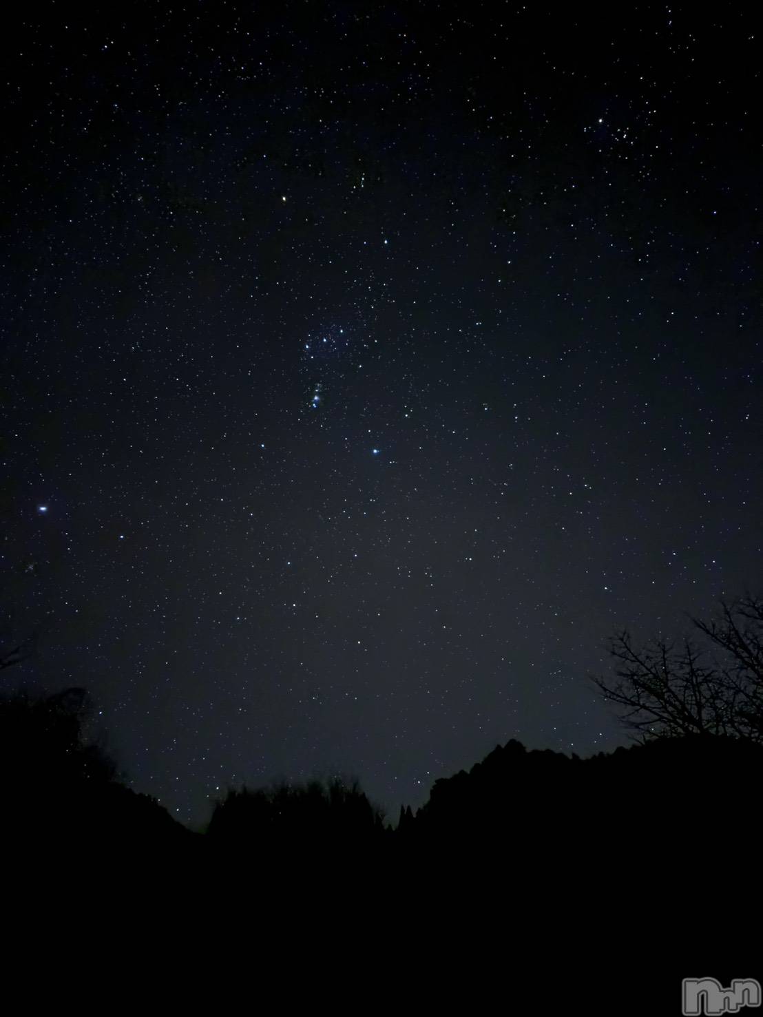 ��ë����Х��顦�����CLUB��Paladin(����֡��ѥ�ǥ���) ��2025ǯ12��16���̥�֥��������˴ꤤ��🌠��