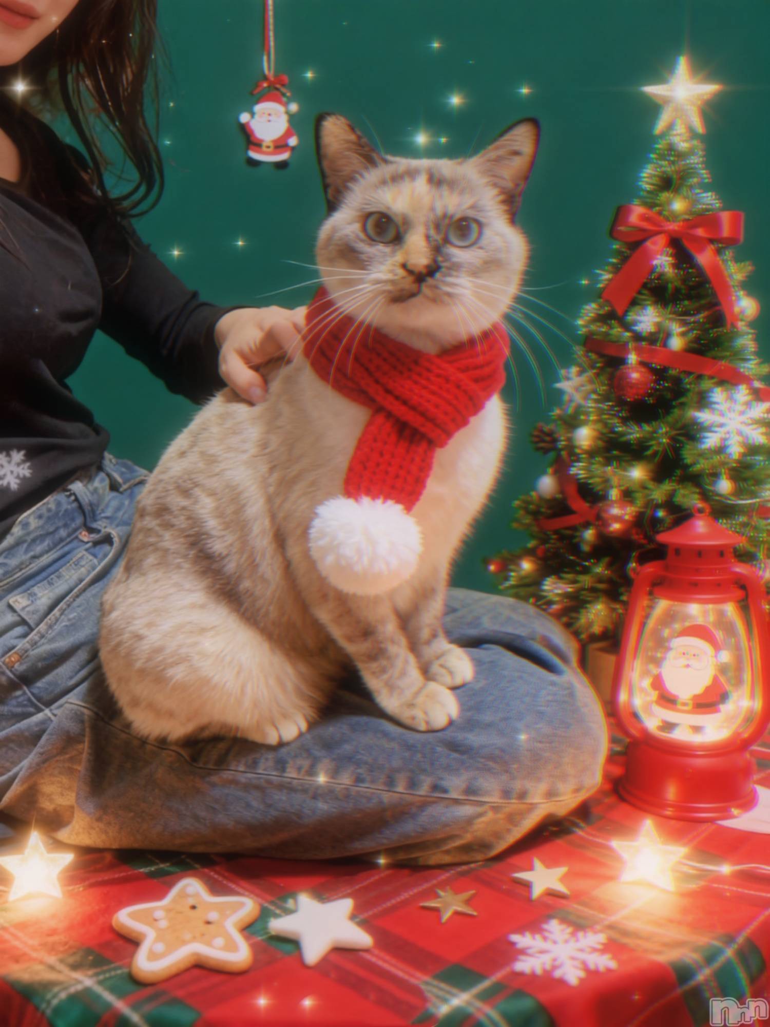 ��ë����Х��顦�����CLUB��Paladin(����֡��ѥ�ǥ���) ��2025ǯ12��26���̥�֥�����‪🫶️💗��