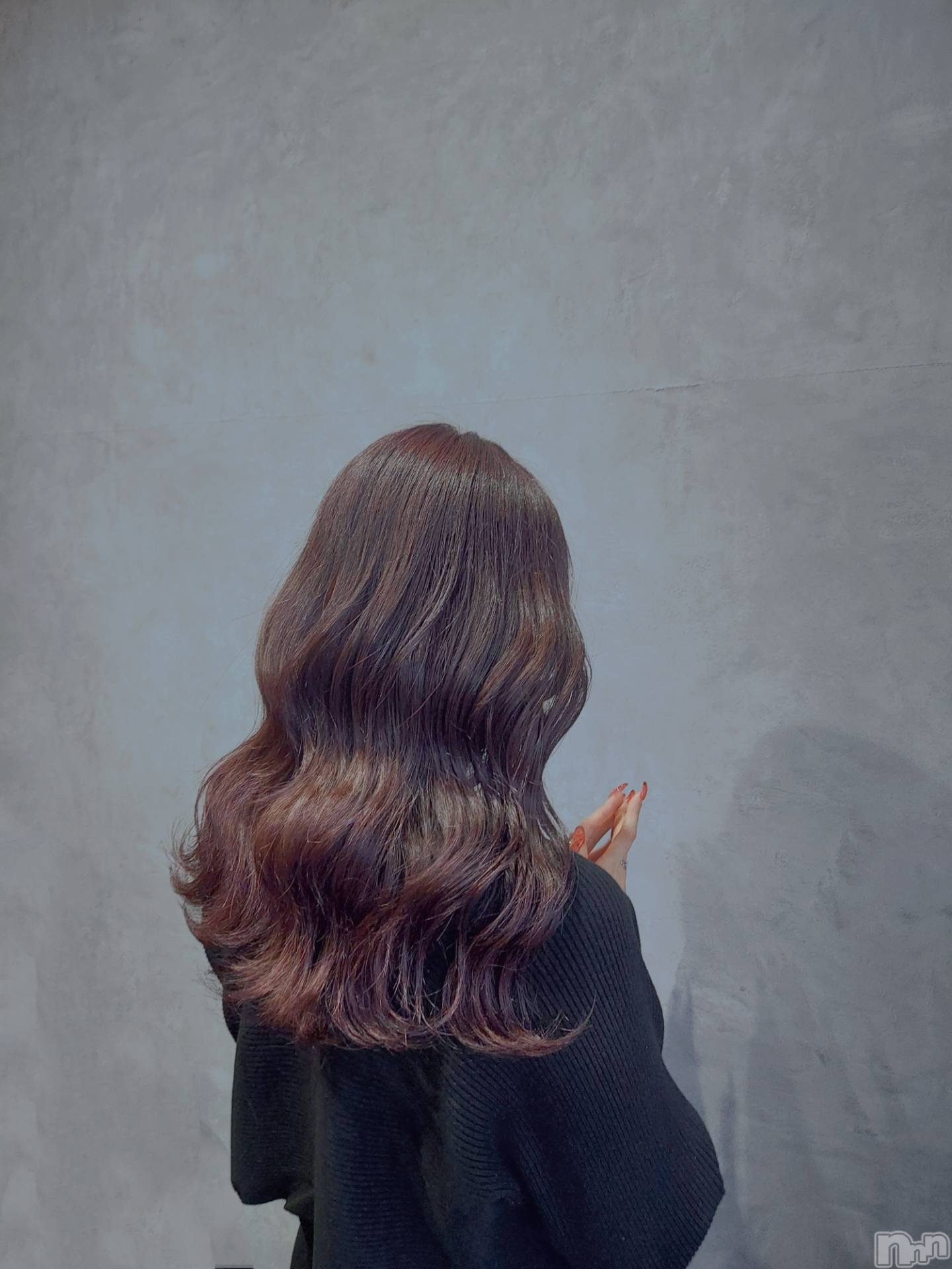 ��ë����Х��顦�����CLUB��Paladin(����֡��ѥ�ǥ���) ��2026ǯ2��11���̥�֥����ֲ����˸����ޤ�������