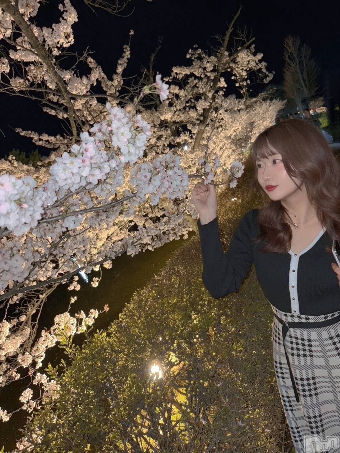 ��ë����Х��顦�����CLUB��Paladin(����֡��ѥ�ǥ���) ��2026ǯ4��10���̥�֥������ܤ���