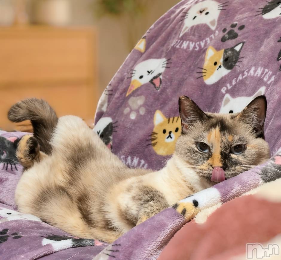 ��ë����Х��顦�����CLUB��Paladin(����֡��ѥ�ǥ���) ��2026ǯ4��24���̥�֥�����👅��