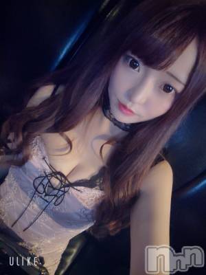 ��ë����Х��顦�����CLUB��Paladin(����֡��ѥ�ǥ���) �������ۤ�10��7���̥�֥����ֲİ���Ͷ�ǡ�