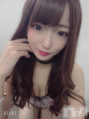 ��ë����Х��顦�����CLUB��Paladin(����֡��ѥ�ǥ���) �������ۤ�10��11���̥�֥�����Sunny��