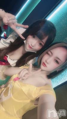 ��ë����Х��顦�����CLUB��Paladin(����֡��ѥ�ǥ���) �������ۤ�12��1���̥�֥����֤�äȡ�