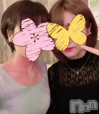 ��ë����Х��顦�����CLUB��Paladin(����֡��ѥ�ǥ���) �������ۤ�4��6���̥�֥����ּ����Ǹ���Τϡġ�