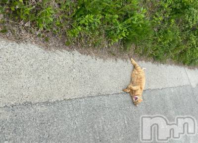 ��ë����Х��顦�����CLUB��Paladin(����֡��ѥ�ǥ���) �������ۤ�5��9���̥�֥����ִ��פΰ����