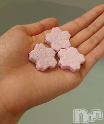 ��ë����Х��顦�����CLUB��Paladin(����֡��ѥ�ǥ���) �������ۤ�5��27���̥�֥����ֹ�����Ǻ�߻���