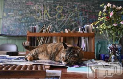 ��ë����Х��顦�����CLUB��Paladin(����֡��ѥ�ǥ���) �������ۤ�2��25���̥�֥����ֿ�🐱��